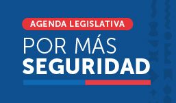 Agenda Legislativa por Más Seguridad 