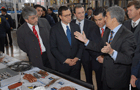 Gobierno apoya campaña contra el robo de cables de cobre